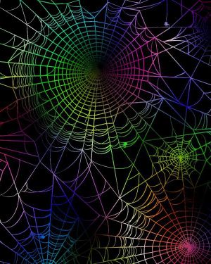Rainbow Spider Web 23