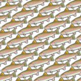 Rainbow-Trout-22.jpg