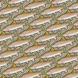 Rainbow-Trout-Scales-22.jpg
