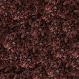 Raisins-22.jpg