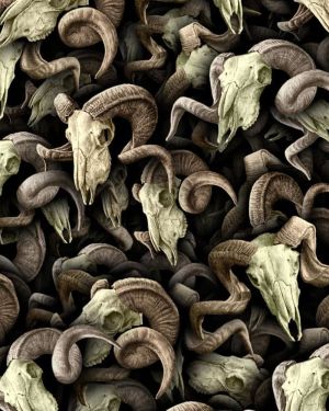 Ram Skulls