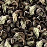 Ram-Skulls.jpg