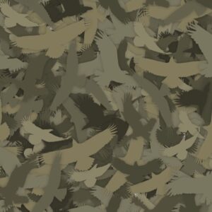 Raptor 22 Camouflage
