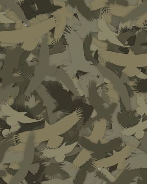 Raptor 22 Camouflage