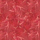 Raw-Beef-22.jpg