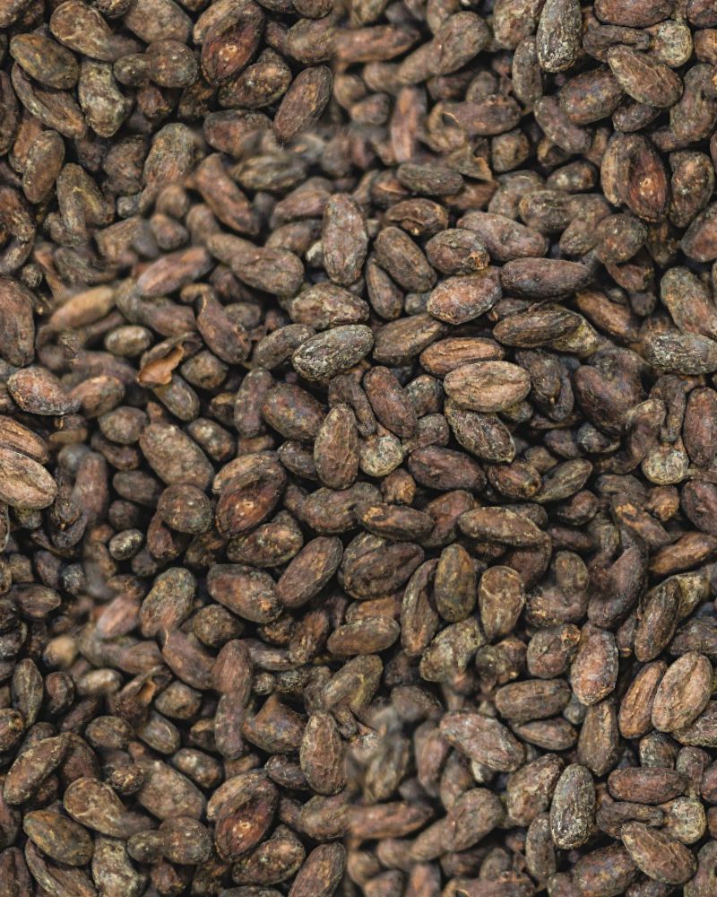 Raw Cacao Beans