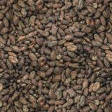 Raw-Cacao-Beans.jpg