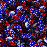 Rebel-Skulls-23.jpg