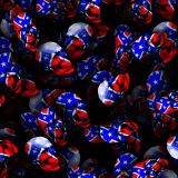 Rebel-Skulls-24.jpg
