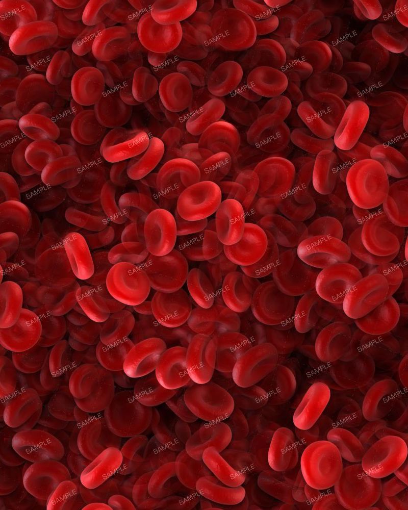 Red Blood Cells