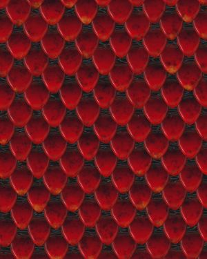 Red Dragon Scales
