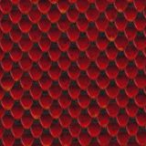 Red-Dragon-Scales.jpg