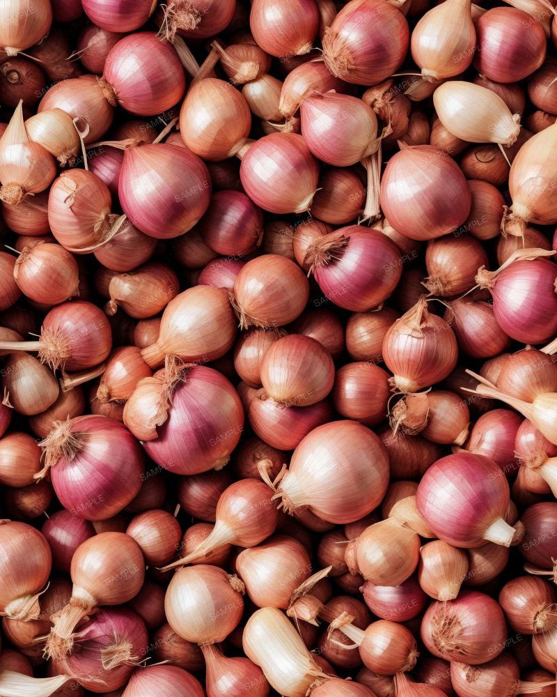 Red Onions