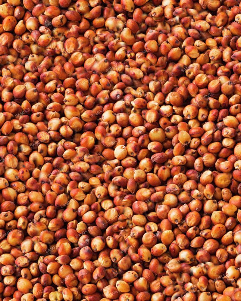 Red Sorghum