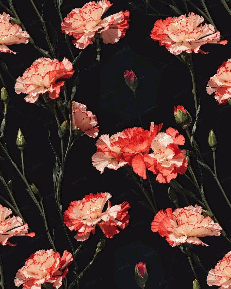 Red and White Carnations