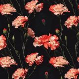 Red-and-White-Carnations.jpg