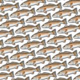 RedFish-22.jpg