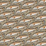 RedFish-Scales-23.jpg