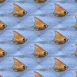 RedFish-Tailing.jpg
