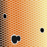 Redfish-Scales-21-thumb.jpg