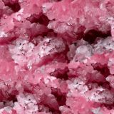 Rhodochrosite-23.jpg