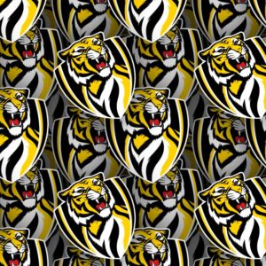Richmond Football Club 22