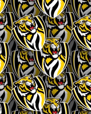 Richmond Football Club 22