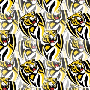 Richmond Football Club 23