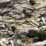 Rocky-Canyon-Camo-thumb.jpg