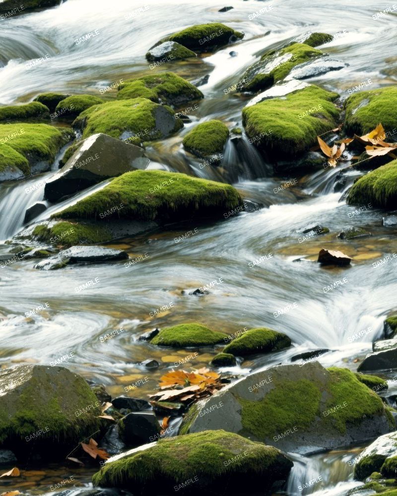 Rocky Flowing Creek 43