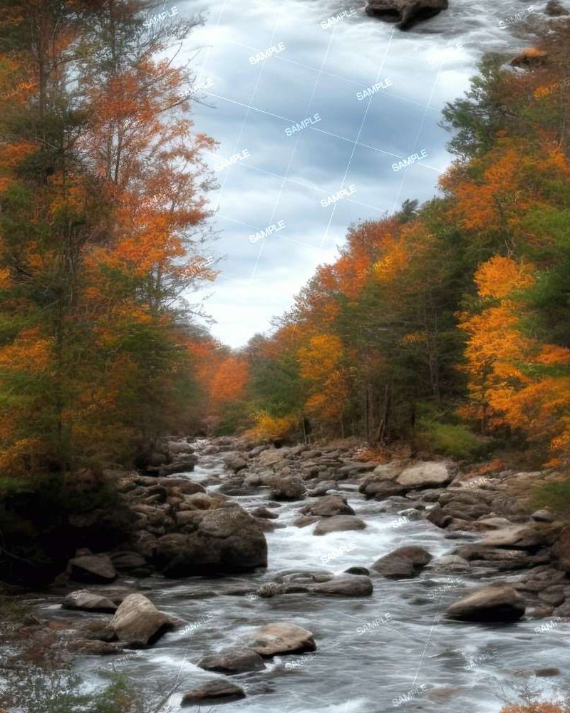 Rocky River Autumn Forest 42