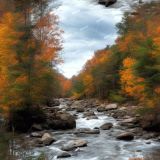 Rocky-River-Autumn-Forest-42.jpg