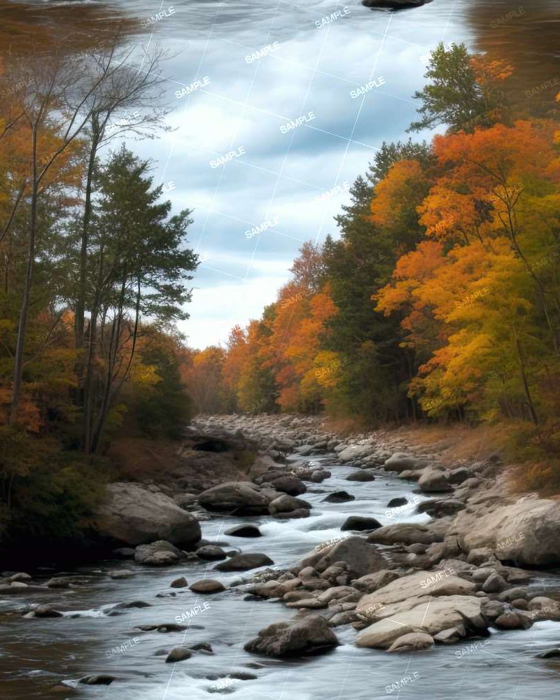 Rocky River Autumn Forest 43
