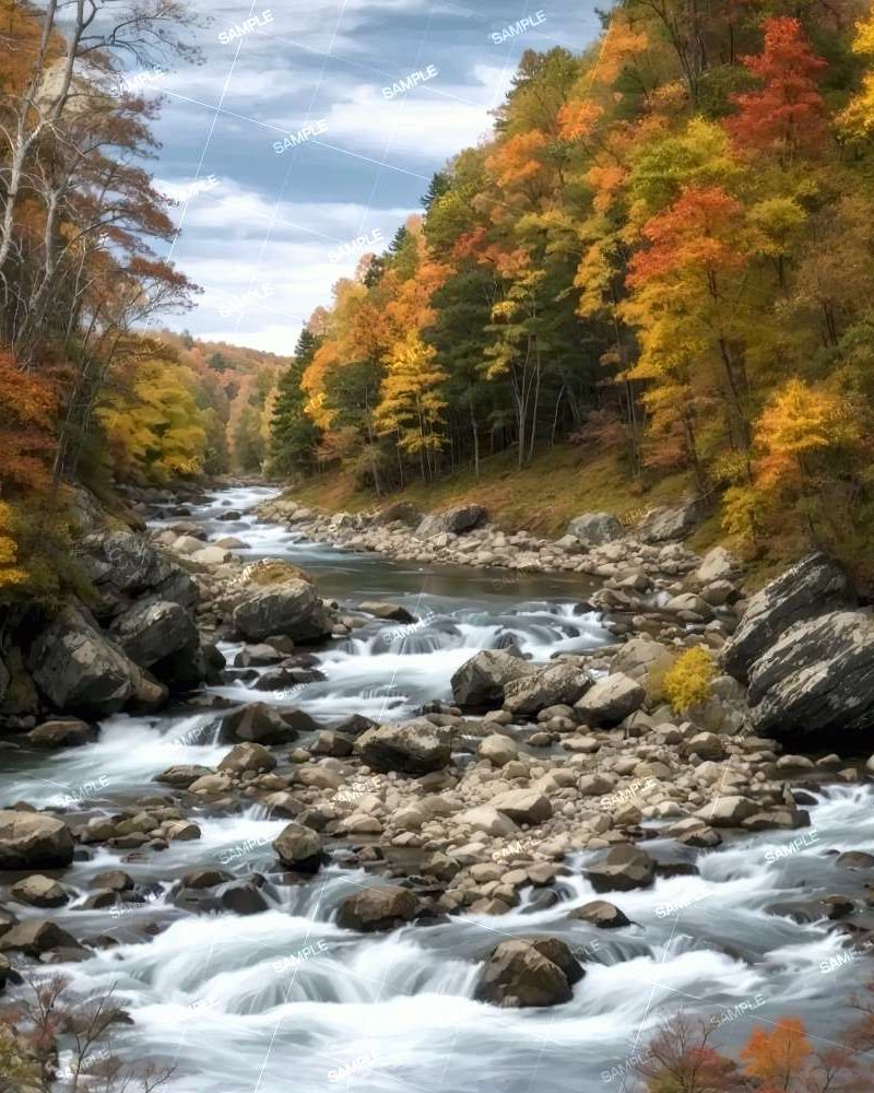 Rocky River Autumn Forest 44