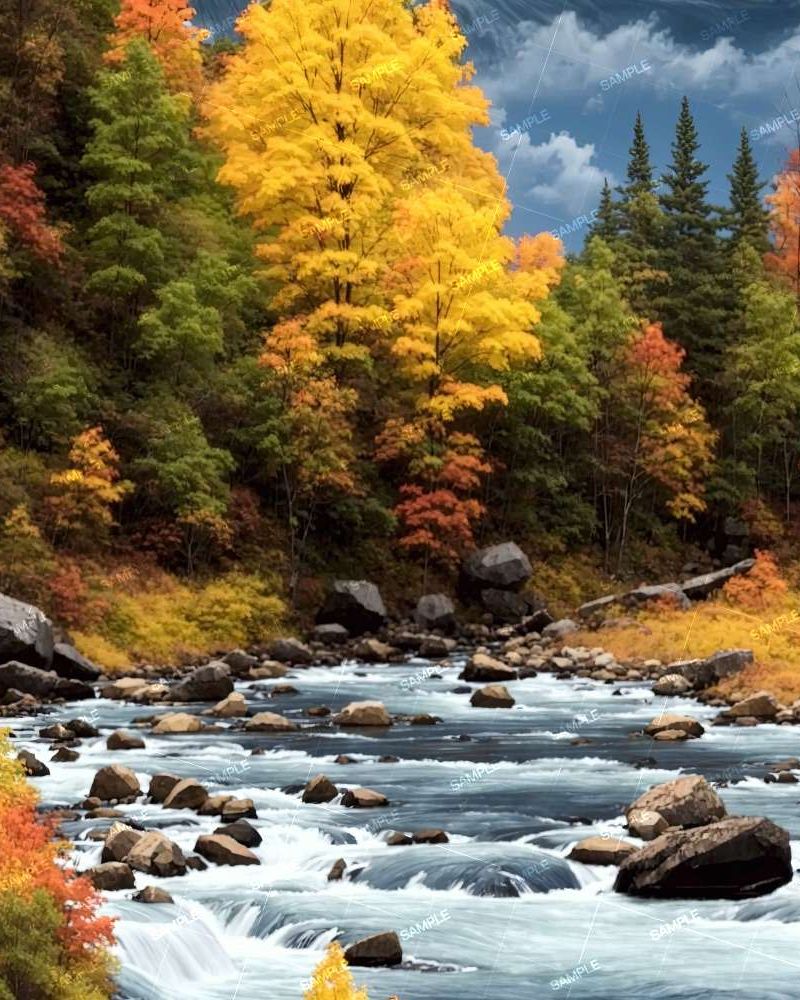 Rocky River Autumn Forest 45