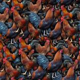 Roosters-22.jpg