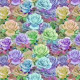 Rose-Crazy-22.jpg