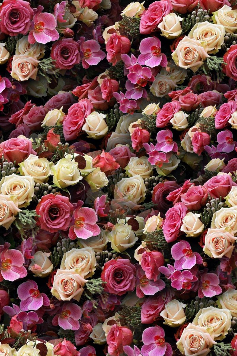 Rose Parade