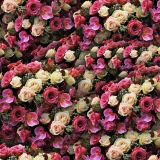 Rose-Parade-22.jpg
