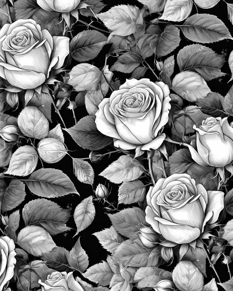 Rose Pencil Drawing
