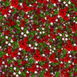Roses-21.jpg