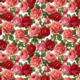Roses-23.jpg