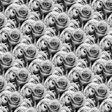 Roses-24.jpg