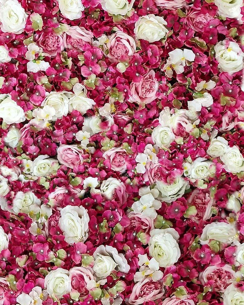 Roses and Achillea Backdrop