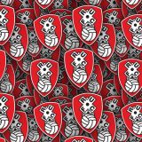 Rotherham-United-FC.jpg