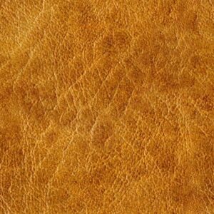 Rough Leather