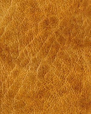 Rough Leather