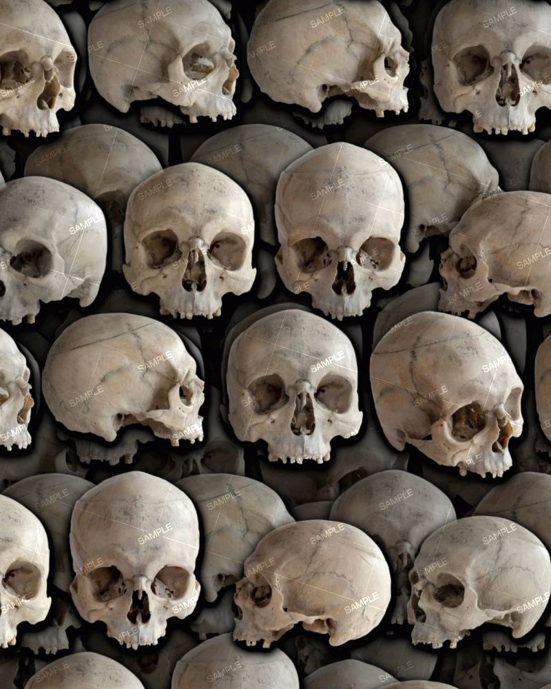 Rows of Skulls