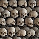 Rows-of-Skulls.jpg