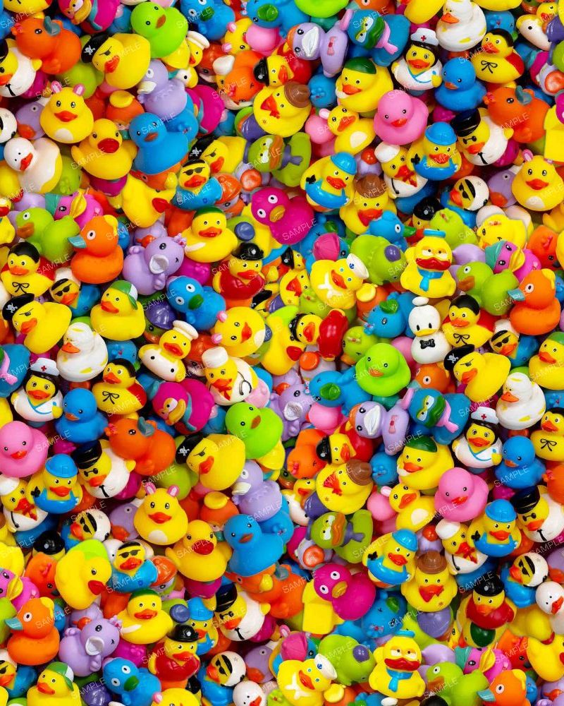 Rubber Duckies of the World